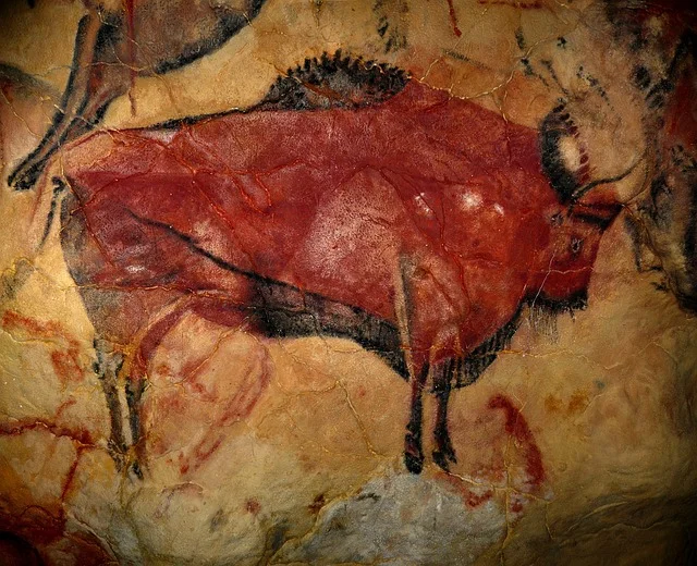 Bisón de la Cueva de Altamira. Una de las cuevas más emblemáticas de Cantabria y del mundo.