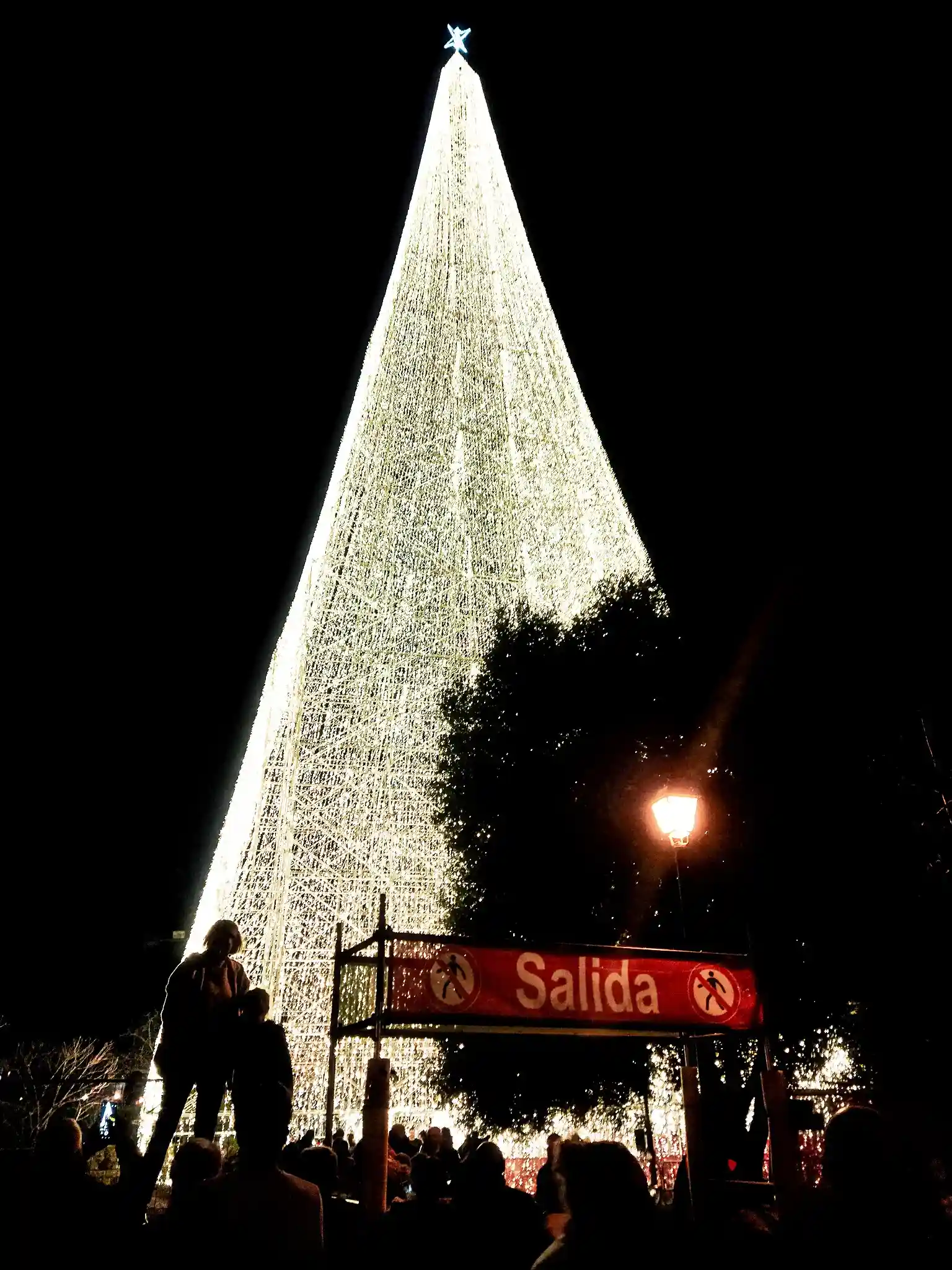 Árbol de Navidad gigantesco en Cartes. Navidad Cantabria.