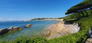 Playa con rocas y árboles y prados detrás