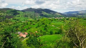 Vista desde Rasillo de Villafufre