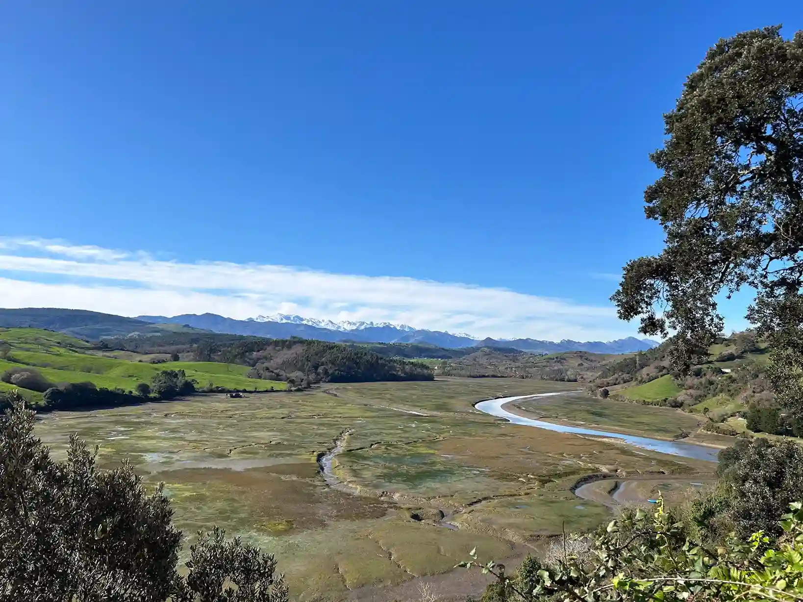 Vistas de suelos de marismas y montañas al fondo