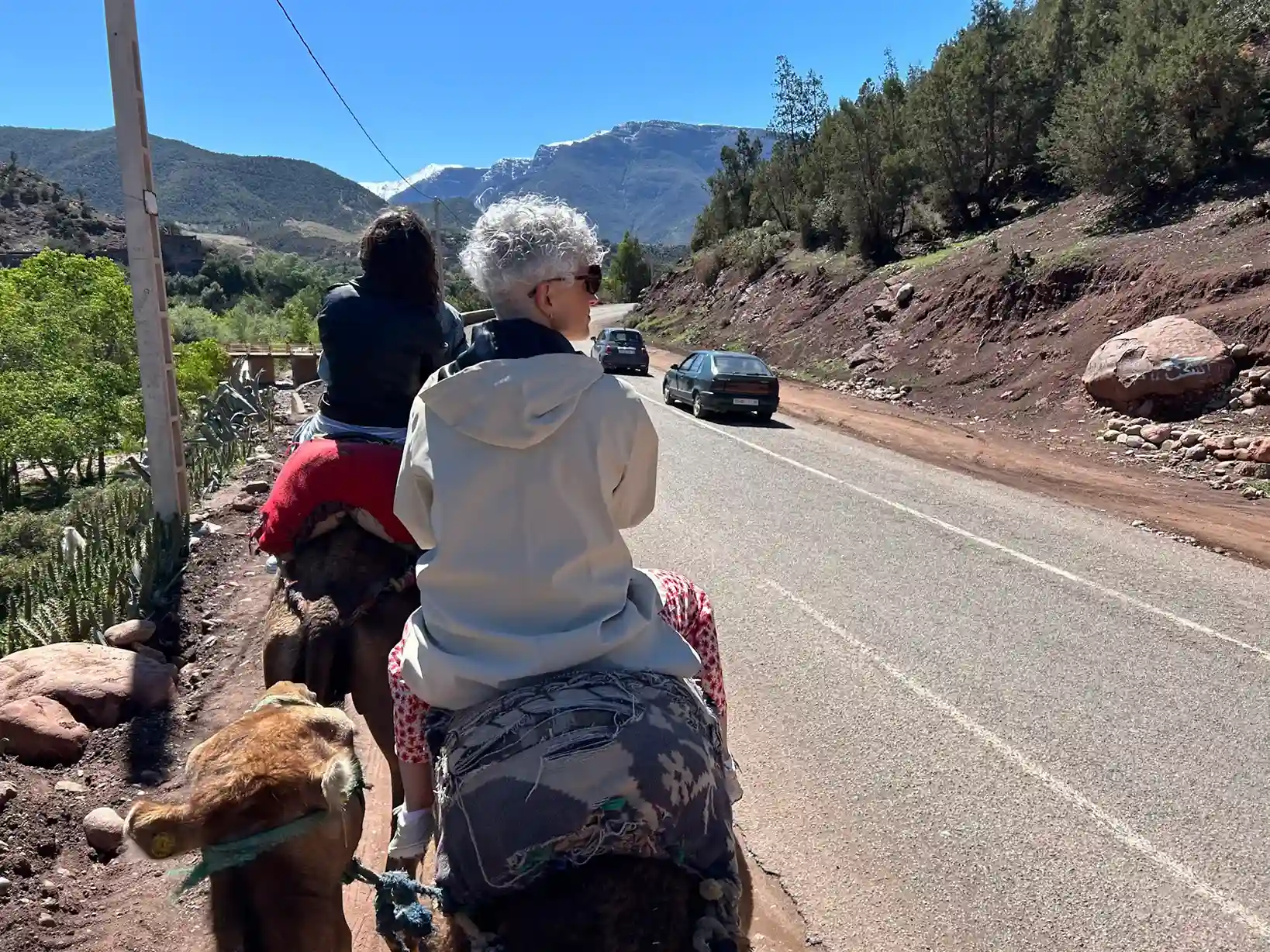 Paseando en camello por el Valle de Ourika