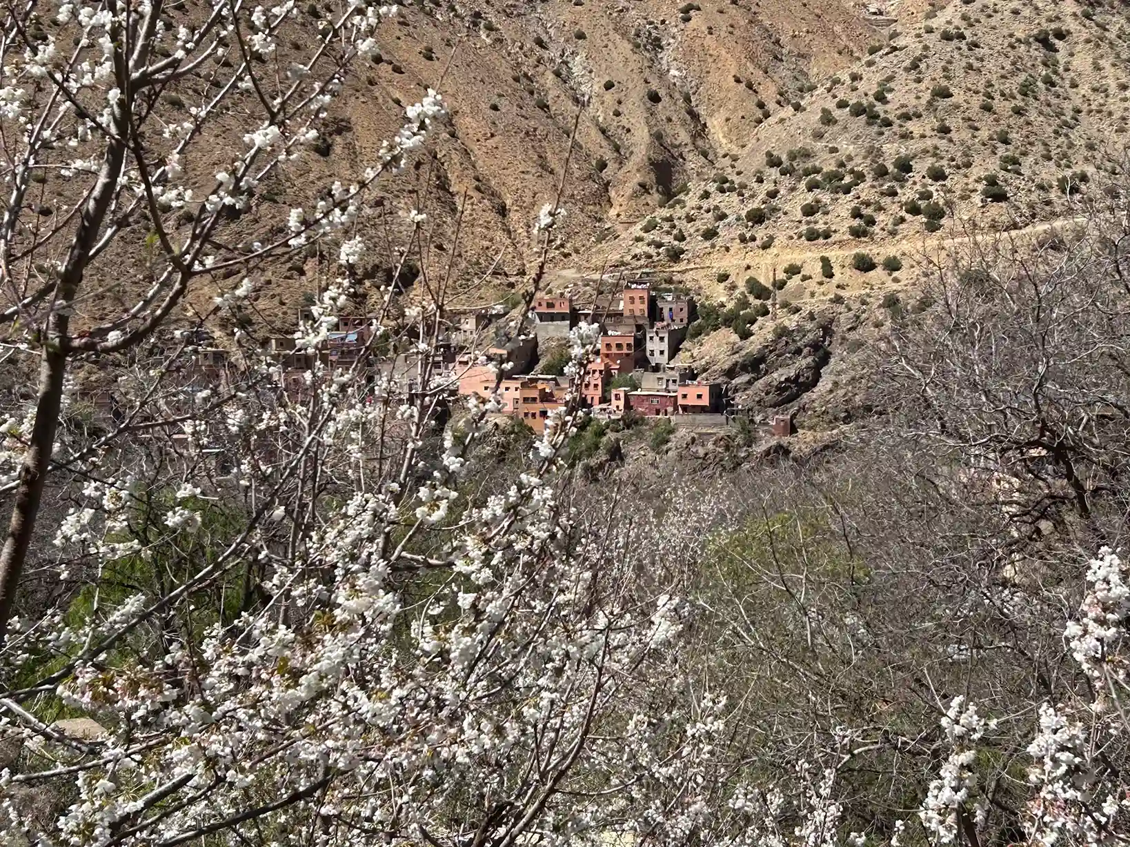 Setti Fatma en primavera. Valle de Ourika