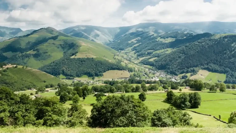 vista de un paisaje verde con casas