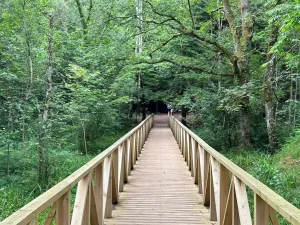 Pasarela para acceder al Bosque de las Secuoyas en la zona baja del bosque