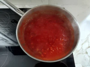 salsa de tomate casera en olla