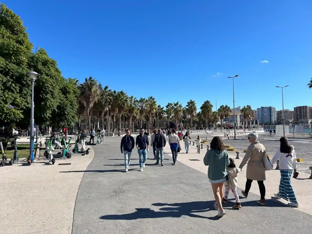 Paseo de la Palmeras en Málaga