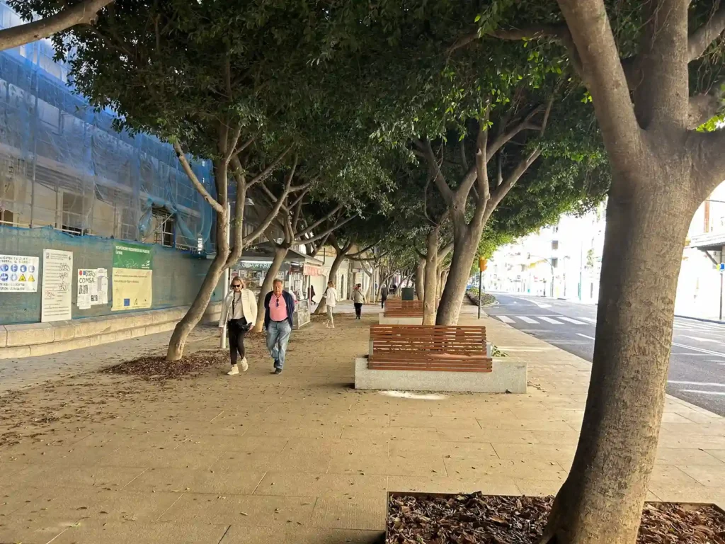 Paseo arbolado con gente paseando