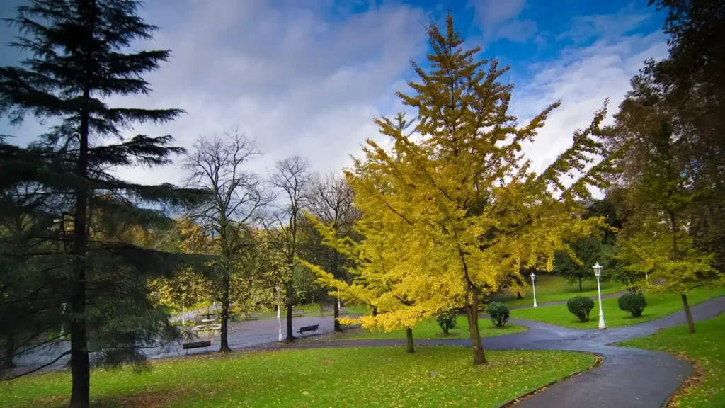 Parque de doña Casilda en Bilbao