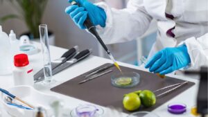 Investigación: ¿una miga de pan afecta a celíacos?