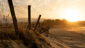 The Best Family-Friendly Beaches in Cantabria: A Gluten-Free Travel Guide