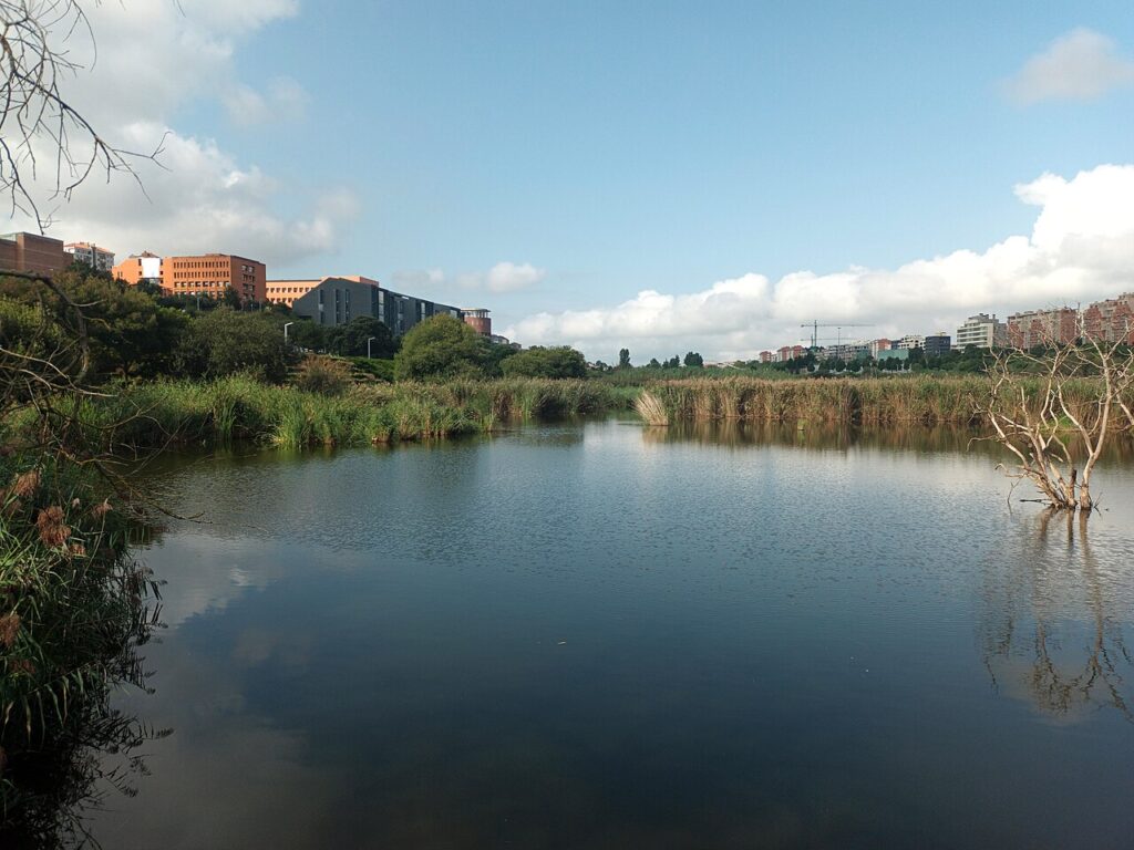 Lago en el parque de las Llamas de Santander