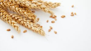 ¿Existe realmente la alergia al gluten? Despejamos todas las dudas