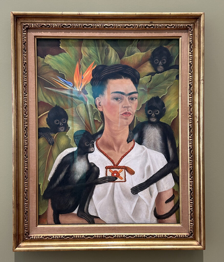 Cuadro de señora con ceja grande y un mono. Frida Kahlo
