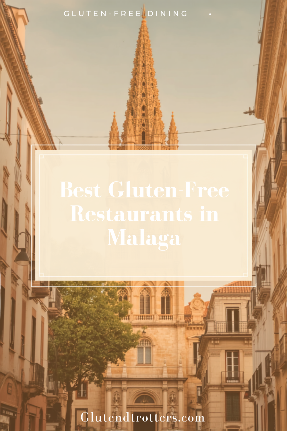 Best Gluten-Free restaurants in Malaga you’ll Love